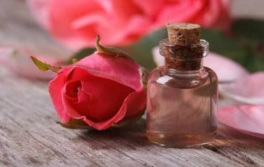 Rose Aroma Oil and unique fragrances for Valentine's Day